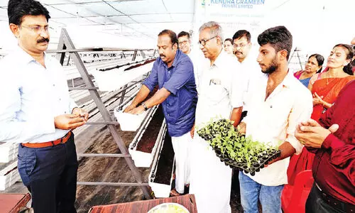 കേ​ര​ള​ത്തി​ലെ ഏ​റ്റ​വും വ​ലി​യ ഹൈ​ഡ്രോ​പോ​ണി​ക്‌​സ്   ഫാം ​പ്രോ​ജ​ക്ടി​ന് ക​ൽ​പ​റ്റ​യി​ൽ തു​ട​ക്കം