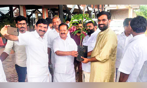 For those who came to the daughters wedding Contributed by Seedling in flour