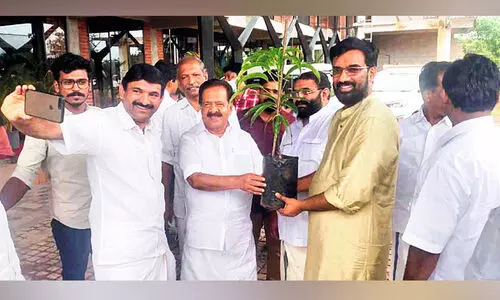 For those who came to the daughters wedding Contributed by Seedling in flour