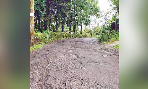 എ​ന്നു​ തു​ട​ങ്ങും കു​റ്റി​ച്ചി​റ -​ചാ​യ്പ​ൻ​കു​ഴി റോ​ഡ് ടാ​റി​ങ്?