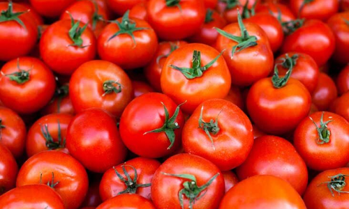 തക്കാളി വില കുതിച്ചുയരുന്നു