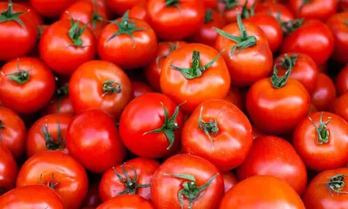 തക്കാളി വില കുതിച്ചുയരുന്നു