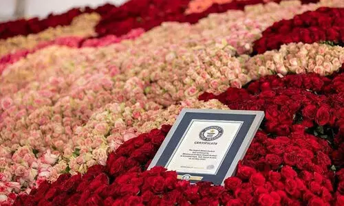 ത്വാഇഫിലൊരുക്കിയ റോസ്​ പുഷ്പ്പ കൊട്ടക്ക്​ ഗിന്നസ്​ റെക്കോഡ്