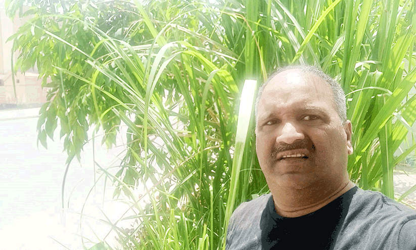 കരിമ്പിൻമധുരം വിതറി ബഷീർ അമ്പലായി കരിമ്പിൻമധുരം വിതറി ബഷീർ അമ്പലായി