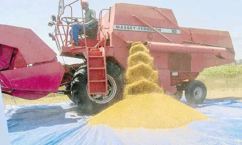 ആഗോള ഭക്ഷ്യസുരക്ഷ സൂചിക: ജി.സി.സിയിൽ ഒമാൻ നാലാമത്
