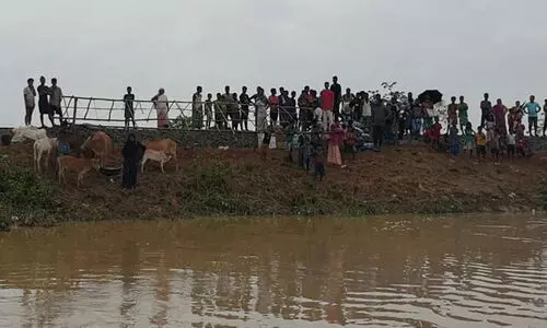 അസമിലെ വെള്ളപ്പൊക്കം: 500 കുടുംബങ്ങൾ കഴിയുന്നത് റെയിൽവേ ട്രാക്കിൽ; എട്ട് ലക്ഷം പേരെ ബാധിച്ചു