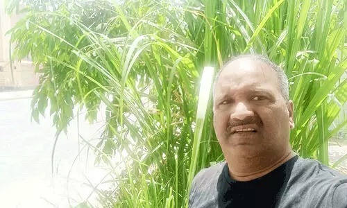 കരിമ്പിൻമധുരം വിതറി ബഷീർ അമ്പലായി