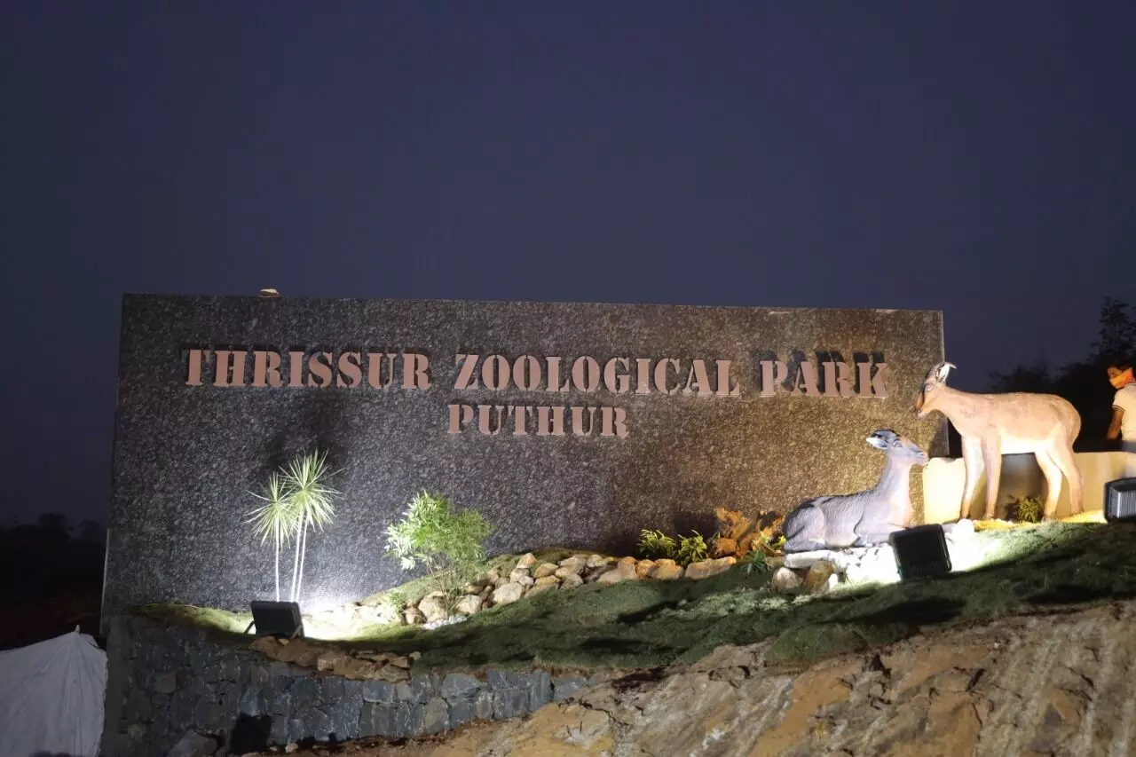 കേന്ദ്ര അംഗീകാരമായി; പുത്തൂര് സുവോളജിക്കല് പാര്ക്ക് ഓണത്തോടെ പ്രവര്ത്തനസജ്ജമാകും കേന്ദ്ര അംഗീകാരമായി; പുത്തൂര് സുവോളജിക്കല് പാര്ക്ക് ഓണത്തോടെ പ്രവര്ത്തനസജ്ജമാകും