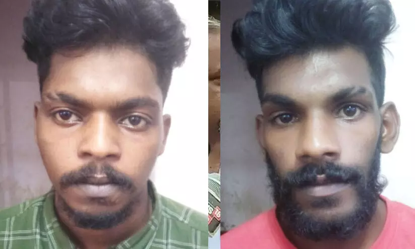 cannabis trade cannabis trade