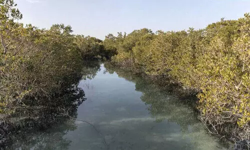 ക​ണ്ട​ൽ പ​റു​ദീ​സ...