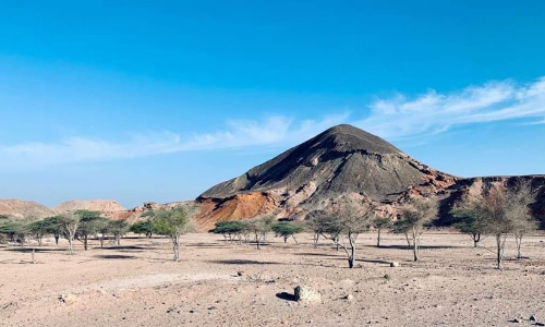 പ്ര​കൃ​തി​യെ അ​ടു​ത്ത​റി​യാ​ന്‍ സ​ർ ബ​നി​യാ​സ് ദ്വീ​പ്
