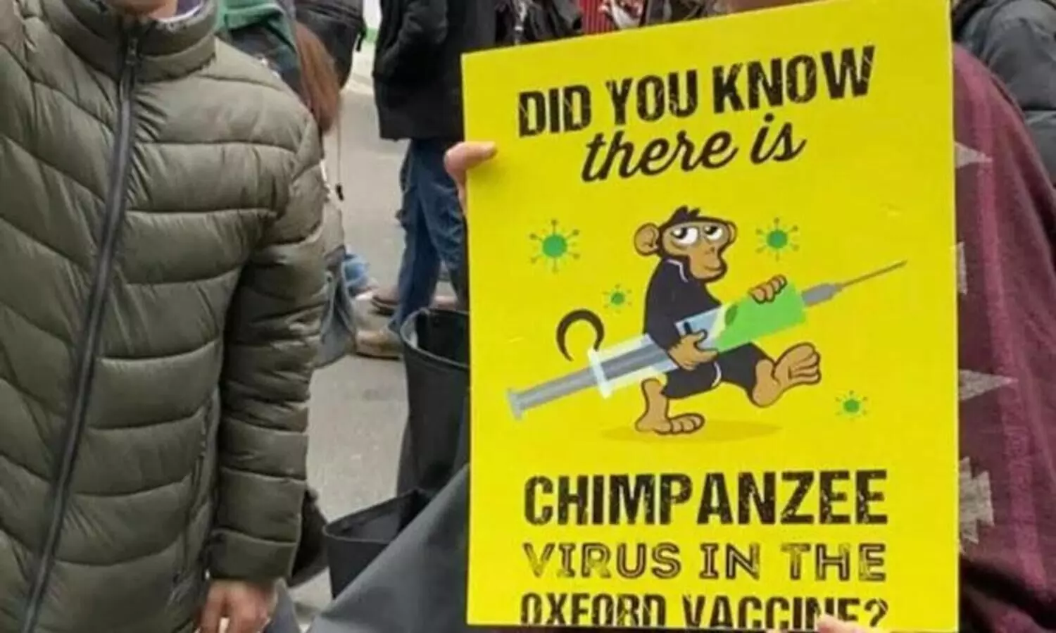 കുരങ്ങുപനിക്ക് കാരണം കോവിഡ് വാക്സിനിലെ ചിമ്പാൻസി വൈറസ്; വിശ്വസിക്കേണ്ടന്ന് വിദഗ്ധർ