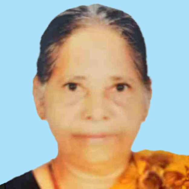 മി​നി ലോ​റി ഇ​ടി​ച്ച് വ​യോ​ധി​ക മ​രി​ച്ചു