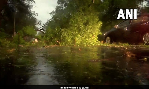 ശക്തമായ കാറ്റും മഴയും: ഡൽഹിയിൽ വൈദ്യുത ബന്ധം വിച്ഛേദിക്കപ്പെട്ടു; റോഡ്, വ്യോമ ഗതാഗതം തടസപ്പെട്ടു