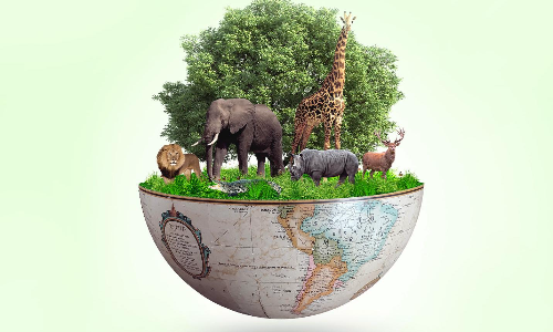 International Day for Biological Diversity