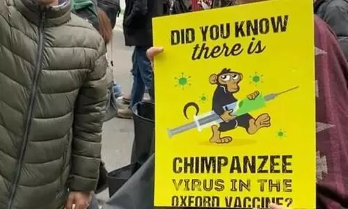 കുരങ്ങുപനിക്ക് കാരണം കോവിഡ് വാക്സിനിലെ ചിമ്പാൻസി വൈറസ്; വിശ്വസിക്കേണ്ടന്ന് വിദഗ്ധർ