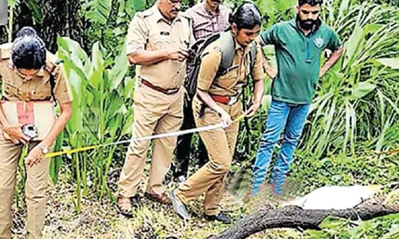 മോഷണംപോയ ചന്ദനമരവും മുറിക്കാൻ ഉപയോഗിച്ച വാളും കണ്ടെത്തി മോഷണംപോയ ചന്ദനമരവും മുറിക്കാൻ ഉപയോഗിച്ച വാളും കണ്ടെത്തി