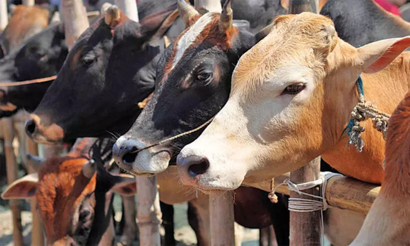 യോഗിക്കെതിരെ സമൂഹമാധ്യമങ്ങളിൽ പോസ്റ്റ്; 15 വയസ്സുകാരനോട് ഗോശാലയിൽ ജോലി ചെയ്യാന് ഉത്തരവിട്ട് ജുവനൈൽ ബോർഡ് യോഗിക്കെതിരെ സമൂഹമാധ്യമങ്ങളിൽ പോസ്റ്റ്; 15 വയസ്സുകാരനോട് ഗോശാലയിൽ ജോലി ചെയ്യാന് ഉത്തരവിട്ട് ജുവനൈൽ ബോർഡ്