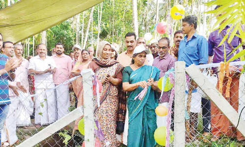 കാ​ട്ടു​പ​ന്നി​ശ​ല്യം: ഉ​ണ്ണി​കു​ളം പ​ഞ്ചാ​യ​ത്തി​ൽ അ​പ​ക​ട​ര​ഹി​ത വേ​ലി സ്ഥാ​പി​ച്ചു