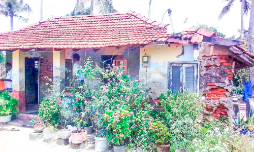 Houses near fish farms are being destroyed by salt