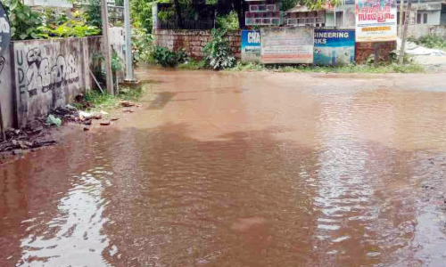 പുതിയകാവ് നെഞ്ചുരോഗ ആശുപത്രി-മണ്ണടിശ്ശേരി റോഡിൽ യാത്ര ദുരിതം