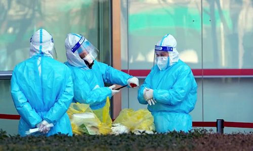 കുരങ്ങുപനി കോവിഡ് പോലുള്ള മഹാമാരിക്ക് കാരണമാകുമോ? മറുപടിയുമായി അമേരിക്കന്‍ ഡോക്ടർ