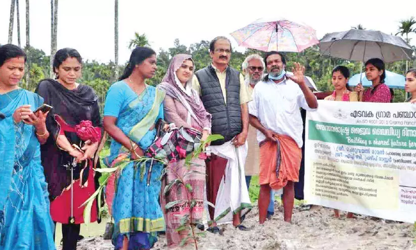 മീനുകൾക്ക് നീന്തിത്തുടിക്കാം, പറവകൾക്ക് കൂടൊരുക്കാം; എ​ട​വ​ക​യി​ൽ ജൈ​വ​വൈ​വി​ധ്യ പാ​ർ​ക്ക് പ്ര​വ​ർ​ത്ത​നം പു​രോ​ഗ​മി​ക്കു​ന്നു
