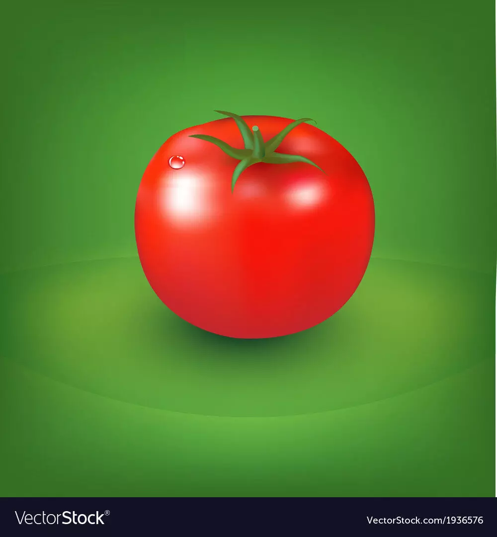 വി​ല​യി​ൽ പൊ​ള്ളി ത​ക്കാ​ളി