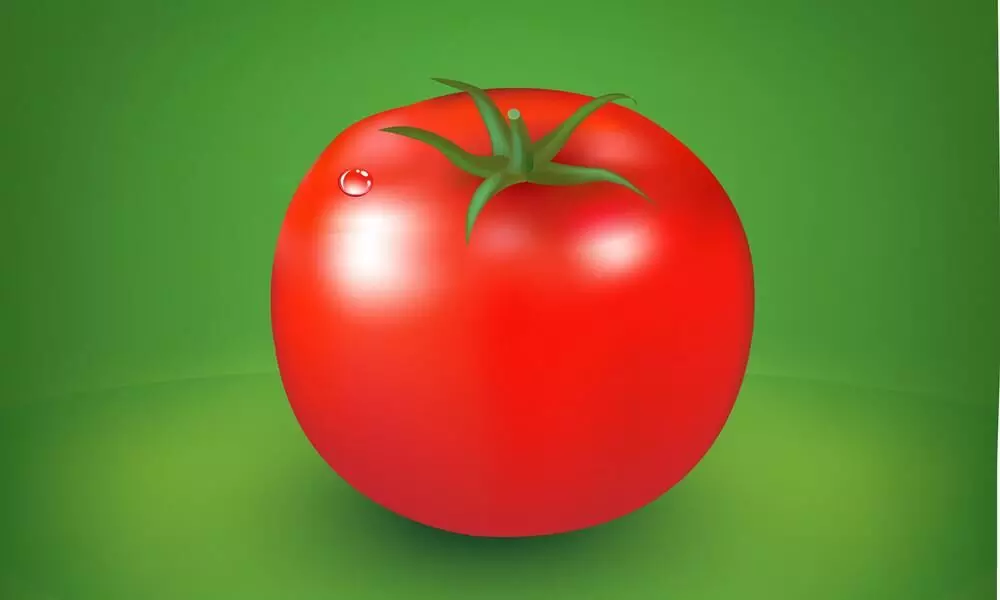 പച്ചത്തുണിയിൽ ചുവന്ന തക്കാളി; പ്രതിഷേധവുമായി ലീഗ്