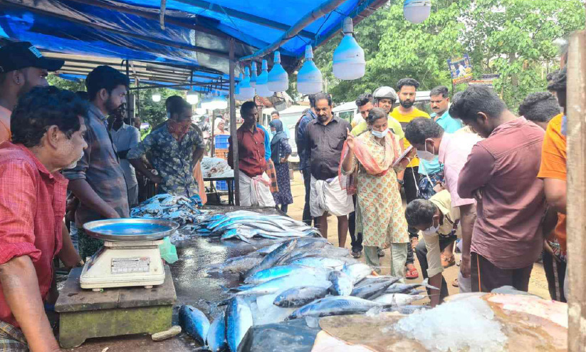 60 കിലോ പഴകിയ മത്സ്യം പിടികൂടി 60 കിലോ പഴകിയ മത്സ്യം പിടികൂടി