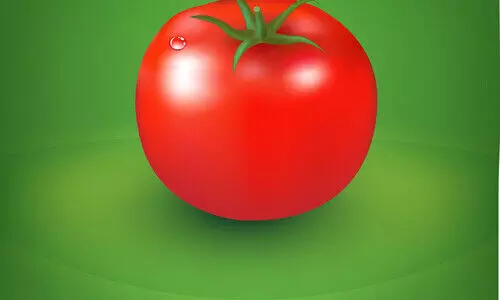 വി​ല​യി​ൽ പൊ​ള്ളി ത​ക്കാ​ളി