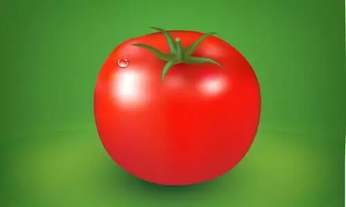 പച്ചത്തുണിയിൽ ചുവന്ന തക്കാളി; പ്രതിഷേധവുമായി ലീഗ്