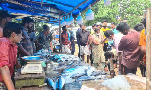 60 കിലോ പഴകിയ മത്സ്യം പിടികൂടി