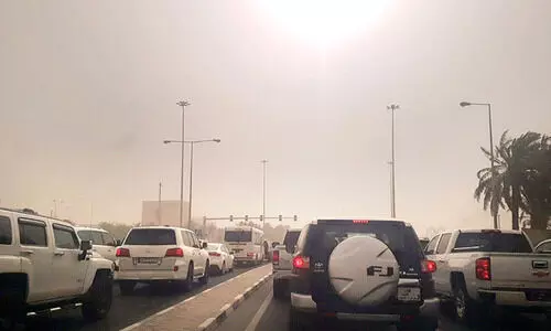 വീശിയടിച്ച് പൊടിക്കാറ്റ്