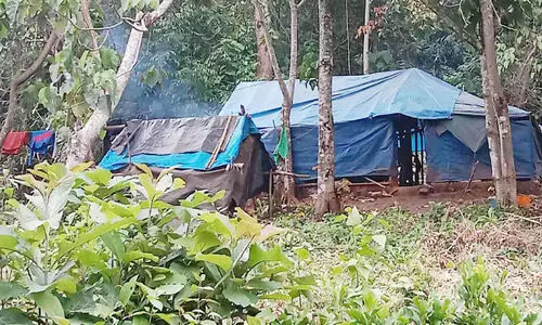 അ​ച്ച​ന്‍കോ​വി​ല്‍ മു​ത​ല​ത്തോ​ട് മേ​ഖ​ല​യി​ല്‍ വ​ന​ത്തി​ല്‍ ആ​ദി​വാ​സി​ക​ള്‍ താ​മ​സി​ക്കു​ന്ന കു​ടി​ലു​ക​ള്‍