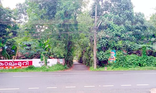 Behind the name Nalam Mile