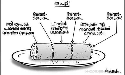 ദേ പുട്ട്!