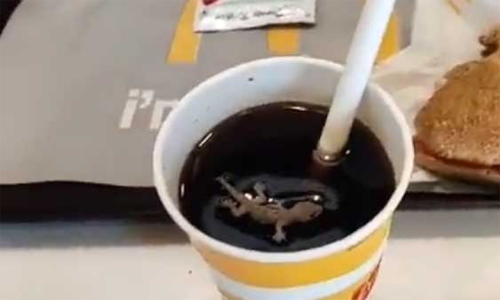 മക്‌ഡൊണാൾഡ്സിന്‍റെ ശീതളപാനീയത്തിൽ ചത്ത പല്ലി