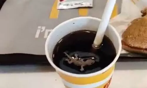 മക്‌ഡൊണാൾഡ്സിന്‍റെ ശീതളപാനീയത്തിൽ ചത്ത പല്ലി