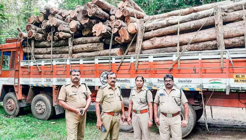 പാസില്ലാതെ തമിഴ്നാട്ടിലേക്ക്കടത്താൻ ശ്രമിച്ച തടി പിടികൂടി