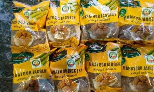 മറയൂർ ശർക്കര തിരിച്ചറിയാൻ ഇനി ജി.ഐ ടാഗ്