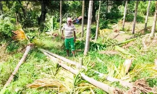 കണ്ണീരാണ്​ വിളവ്