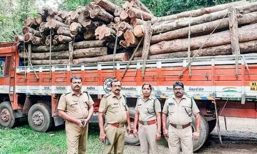 പാസില്ലാതെ തമിഴ്നാട്ടിലേക്ക്കടത്താൻ ശ്രമിച്ച തടി പിടികൂടി