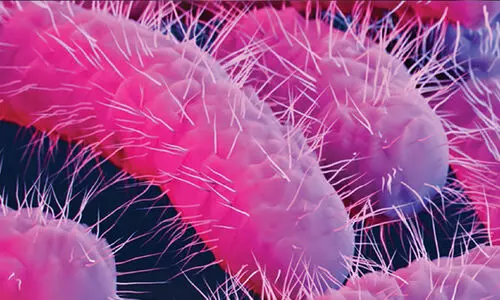 തൃശൂർ എൻജി. വിദ്യാർഥിക്ക് ഷിഗെല്ല ബാധിച്ചത് കുടിവെള്ളത്തിൽനിന്നെന്ന് സംശയം; ആശങ്ക വേണ്ടെന്ന് ആരോഗ്യവകുപ്പ് തൃശൂർ എൻജി. വിദ്യാർഥിക്ക് ഷിഗെല്ല ബാധിച്ചത് കുടിവെള്ളത്തിൽനിന്നെന്ന് സംശയം; ആശങ്ക വേണ്ടെന്ന് ആരോഗ്യവകുപ്പ്