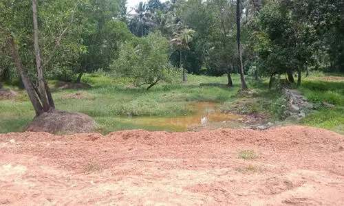 തണ്ണീർത്തടങ്ങളും ഏലാ ഭൂമിയും വൻതോതിൽ നികത്തുന്നു