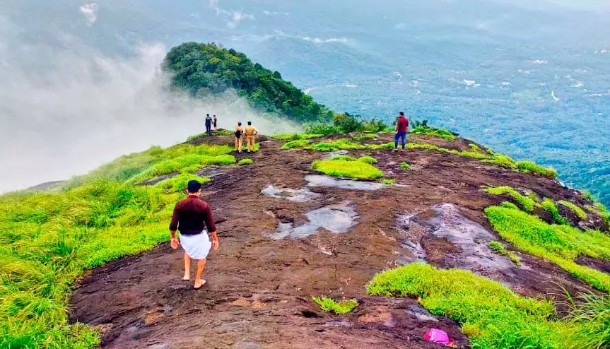 സഞ്ചാരികൾക്ക് സ്വാഗതമോതി പാലുകാച്ചിമല;    ജൂൺ മൂന്നിന് ട്രക്കിങ് തുടങ്ങുമെന്ന് വനം വകുപ്പ്
