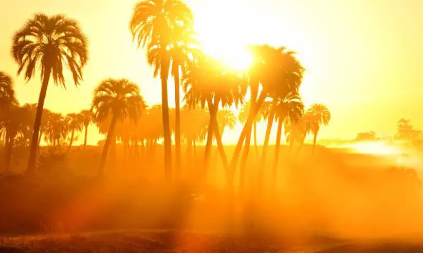 സുവൈഖിൽ റെ​ക്കോഡ്​ ചൂട്