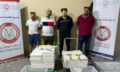 ആറുലക്ഷം ലഹരി ഗുളികകളുമായി അറബ് വംശജര്‍ പിടിയില്‍