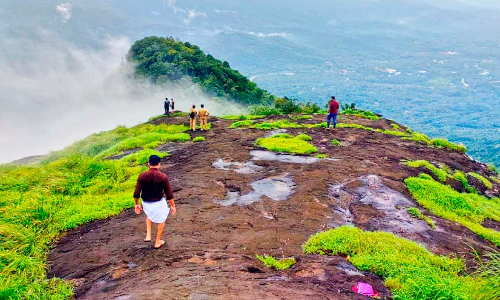 സഞ്ചാരികൾക്ക് സ്വാഗതമോതി പാലുകാച്ചിമല;    ജൂൺ മൂന്നിന് ട്രക്കിങ് തുടങ്ങുമെന്ന് വനം വകുപ്പ്
