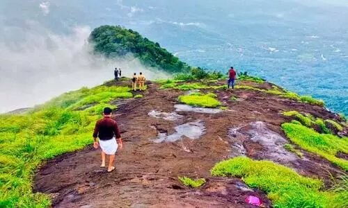 സഞ്ചാരികൾക്ക് സ്വാഗതമോതി പാലുകാച്ചിമല;    ജൂൺ മൂന്നിന് ട്രക്കിങ് തുടങ്ങുമെന്ന് വനം വകുപ്പ്
